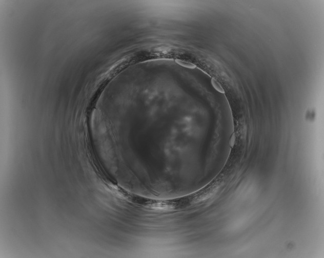 X0000094970754200711291503
