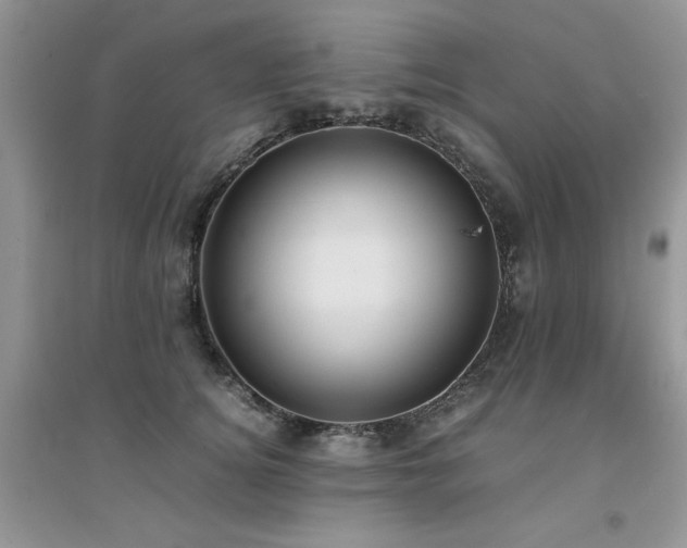 X0000094970756200711291503