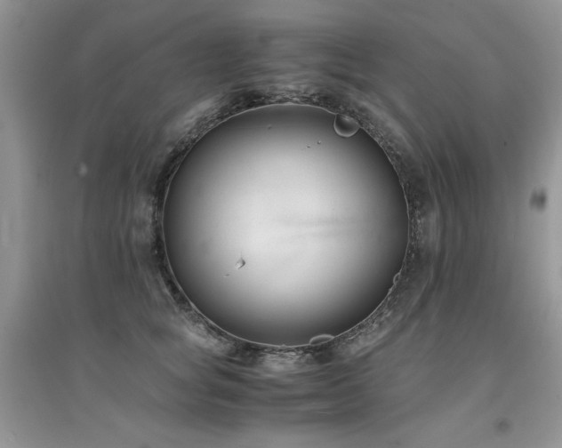 X0000094970757200711291503