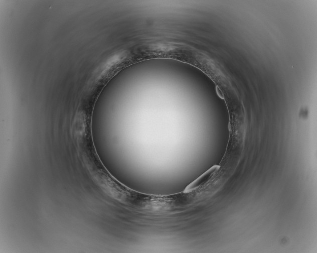 X0000094970758200711291503