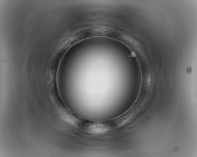 X0000094970759200711291503