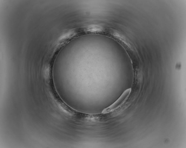 X0000094970760200711291503