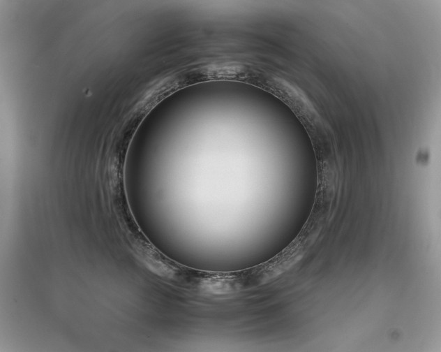 X0000094970761200711291503