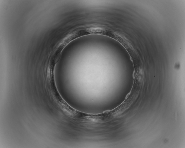 X0000094970763200711291503