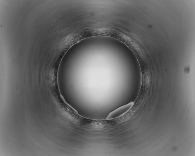 X0000094970764200711291503