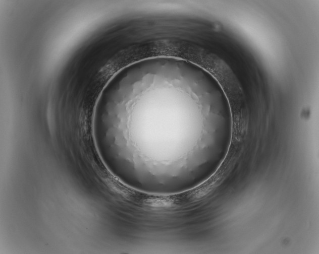 X0000094970765200711291503