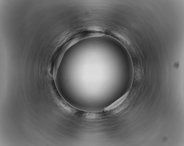 X0000094970766200711291503