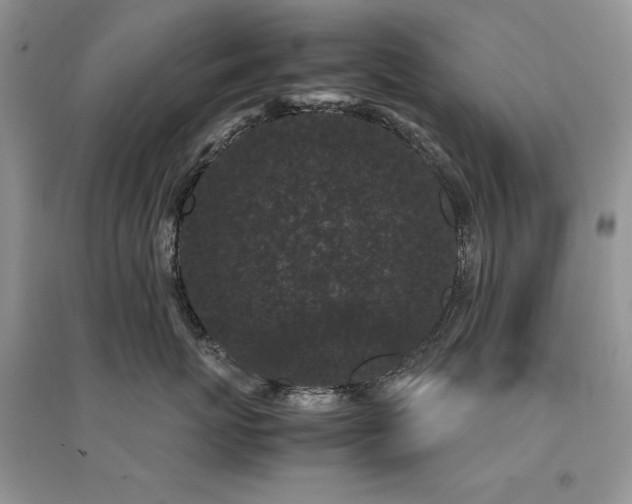 X0000094970767200711291503