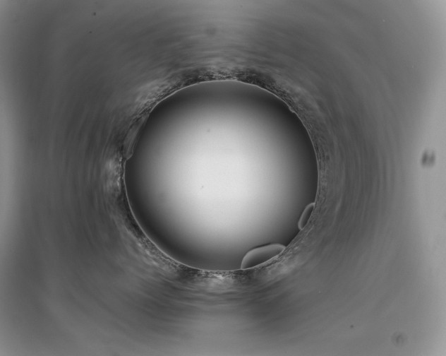 X0000094970768200711291503
