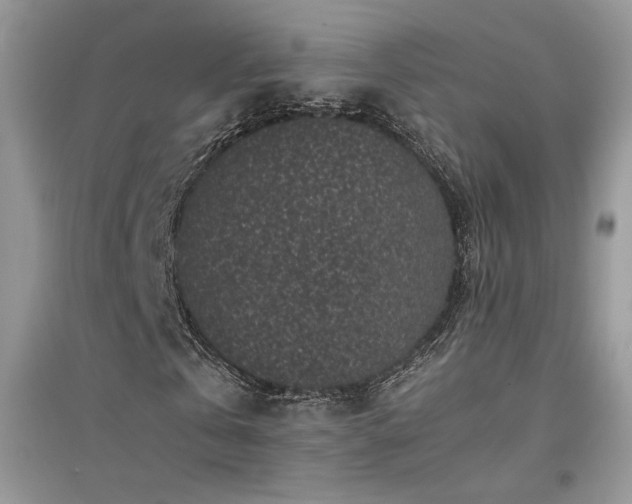 X0000094970769200711291503