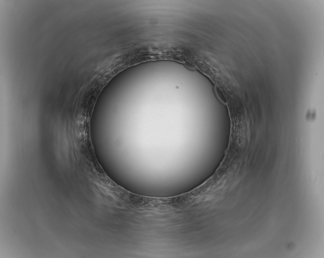X0000094970770200711291503