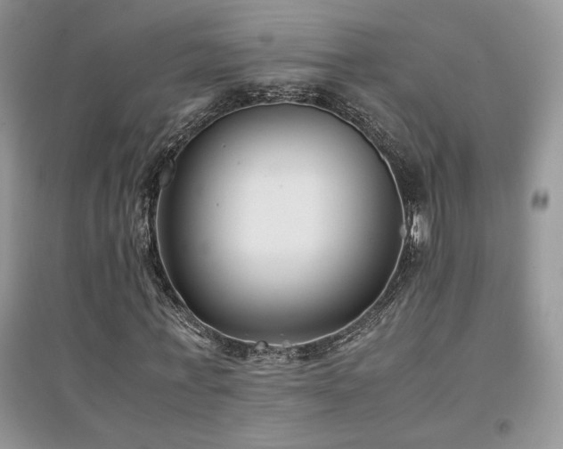 X0000094970771200711291503