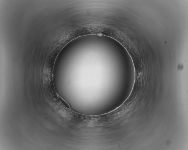 X0000094970772200711291503