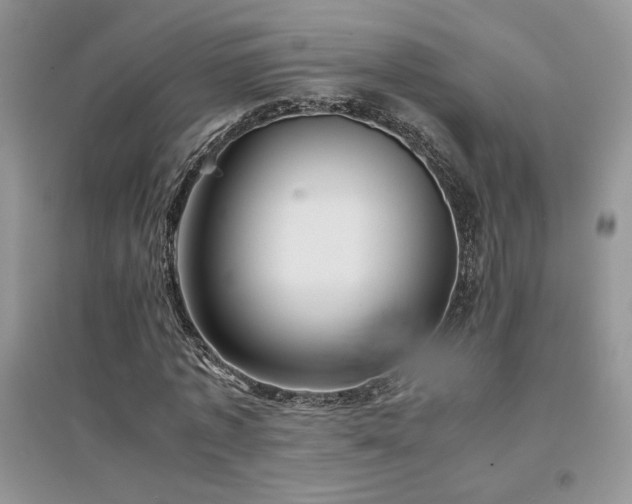 X0000094970773200711291503