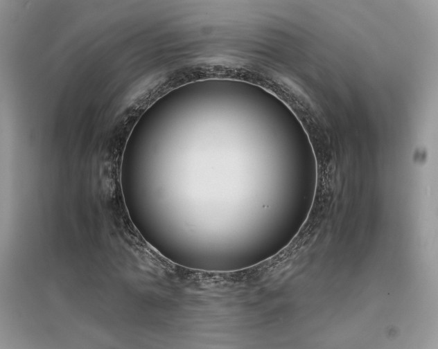X0000094970774200711291503