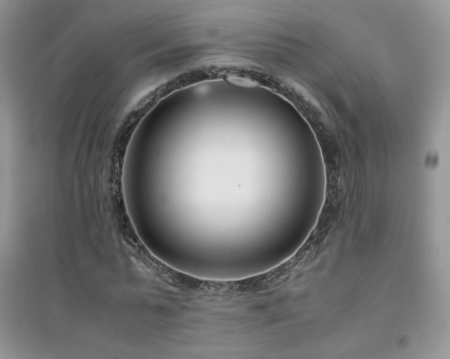 X0000094970775200711291503