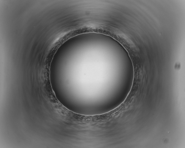 X0000094970776200711291503