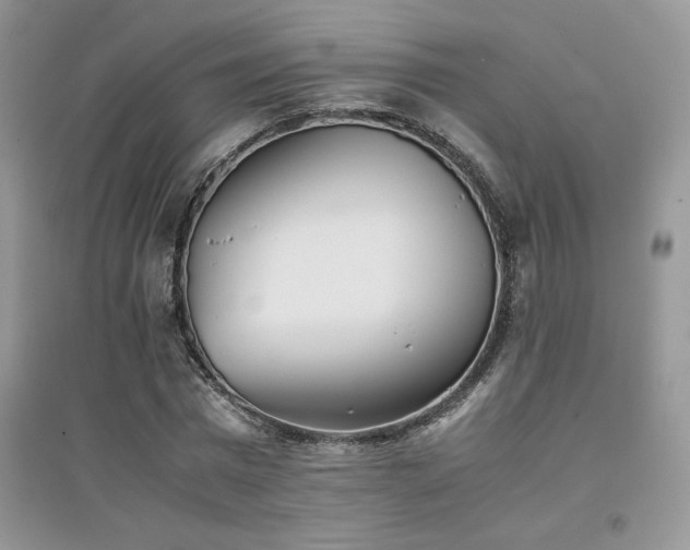 X0000094970777200711291503
