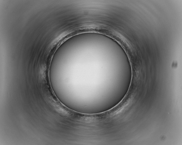 X0000094970778200711291502