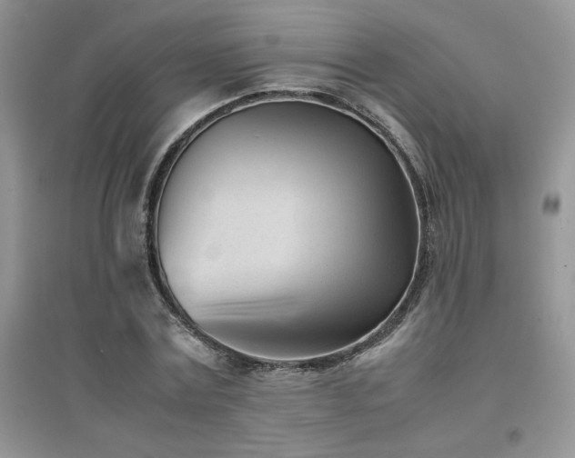 X0000094970779200711291502