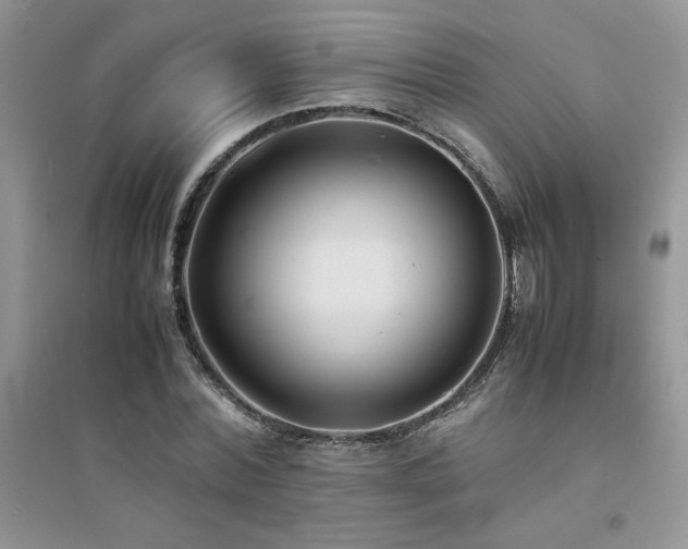 X0000094970780200711291502