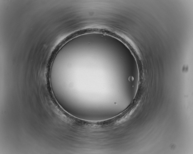 X0000094970783200711291502