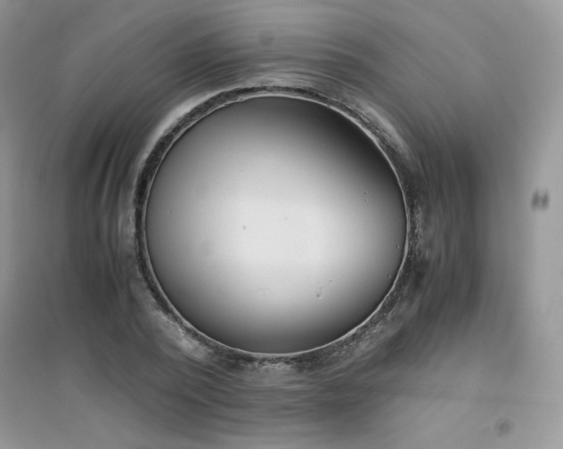 X0000094970784200711291502