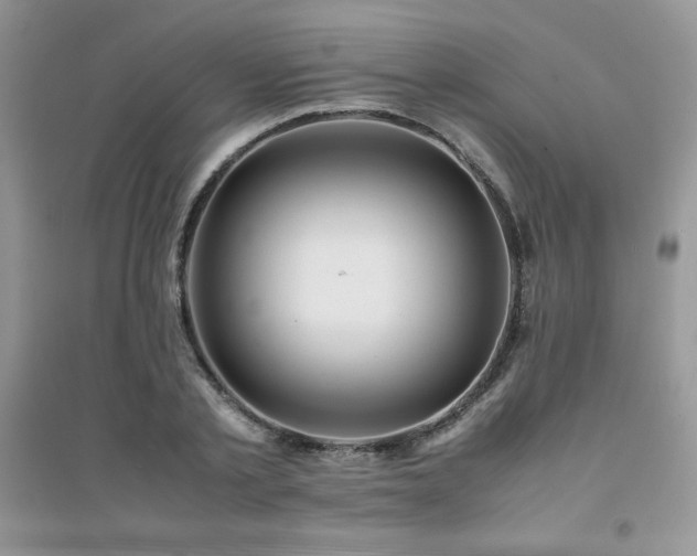 X0000094970789200711291502
