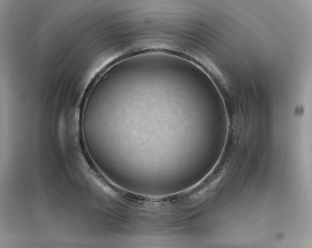 X0000094970790200711291502