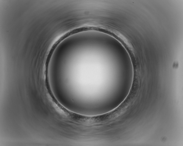 X0000094970791200711291502