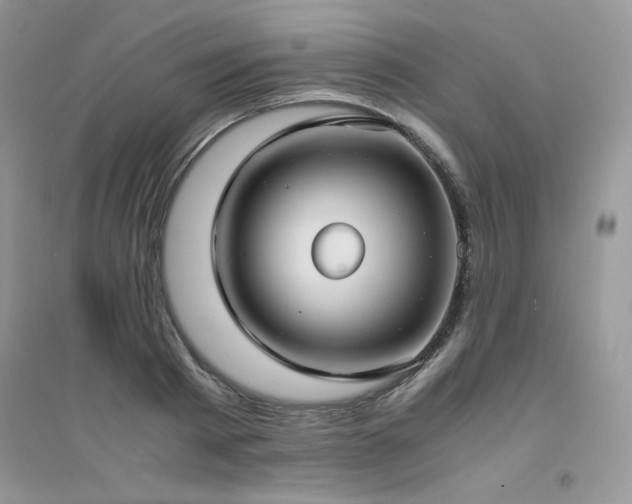 X0000094970793200711291502