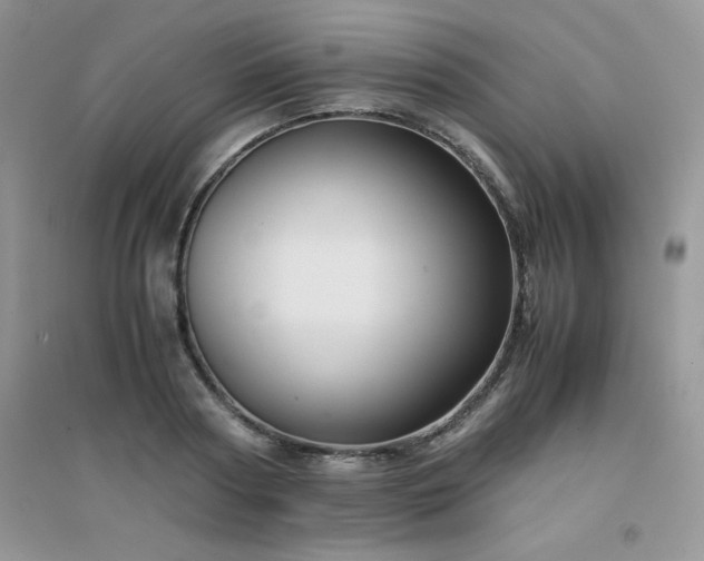 X0000094970794200711291502