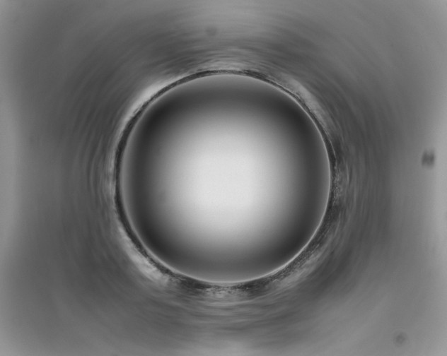 X0000094970795200711291502