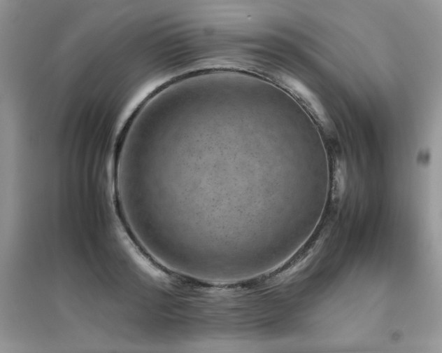 X0000094970796200711291502