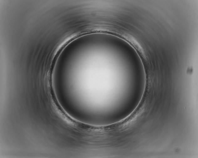 X0000094970798200711291502
