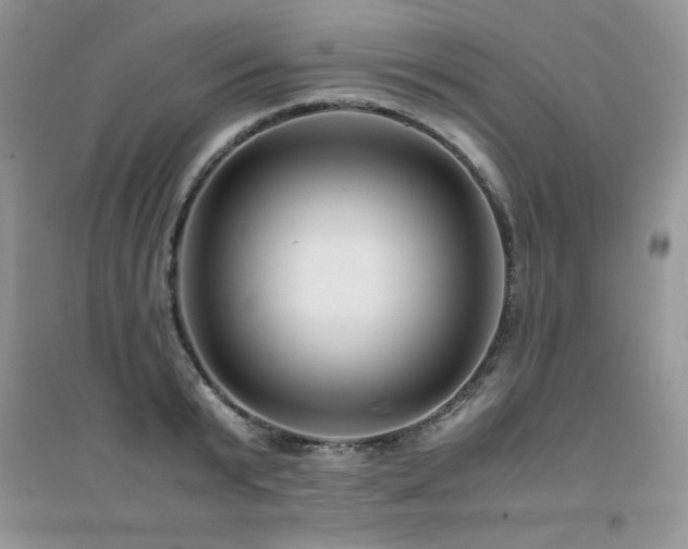 X0000094970799200711291502