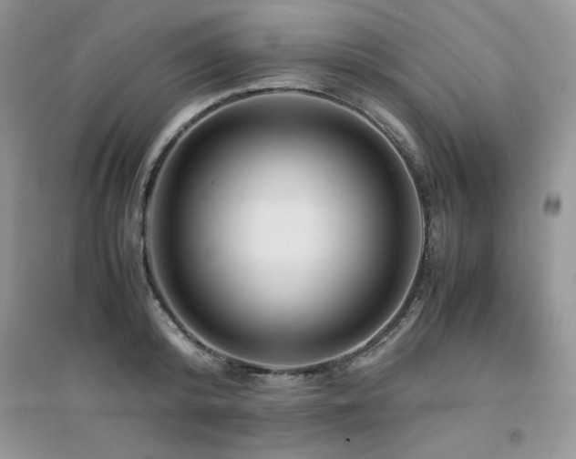 X0000094970800200711291502
