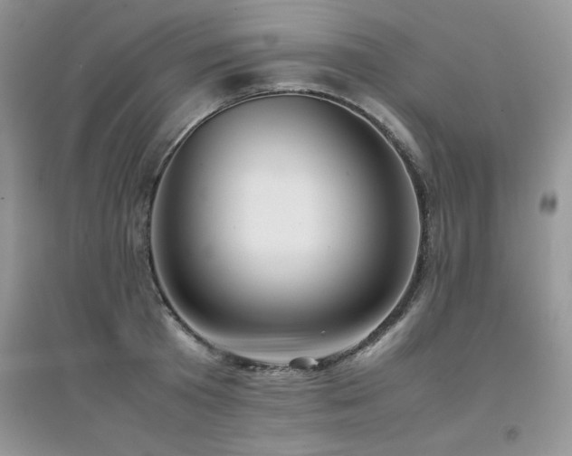 X0000094970801200711291502