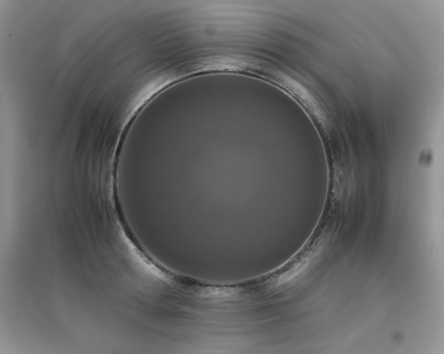 X0000094970802200711291502