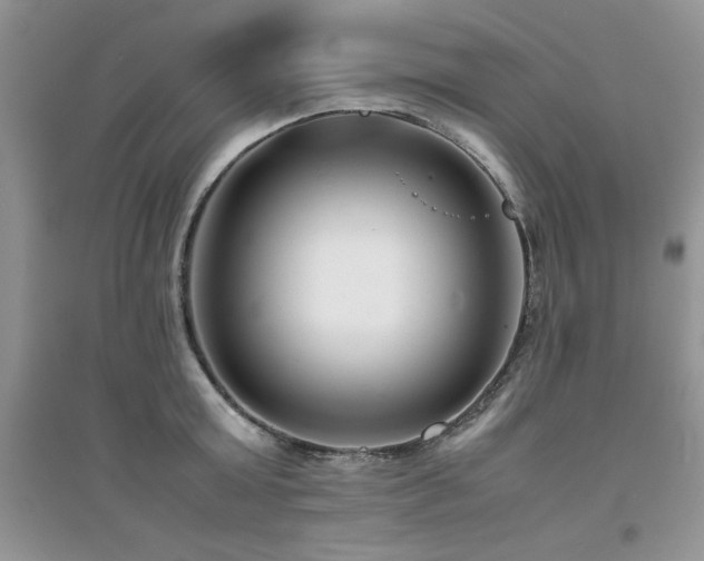 X0000094970803200711291502