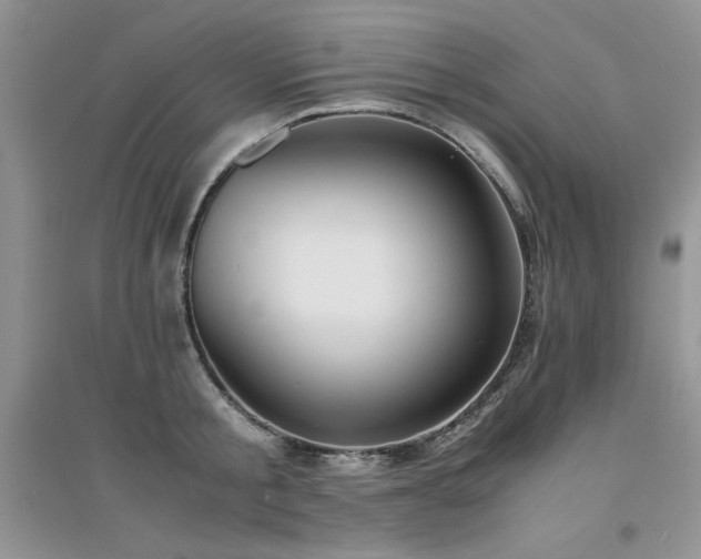 X0000094970805200711291502