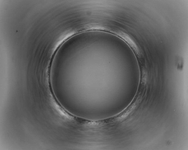 X0000094970806200711291502