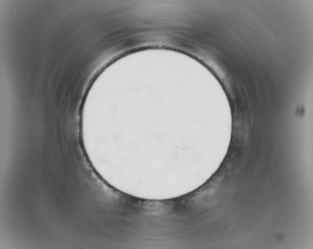X0000094970807200711291502