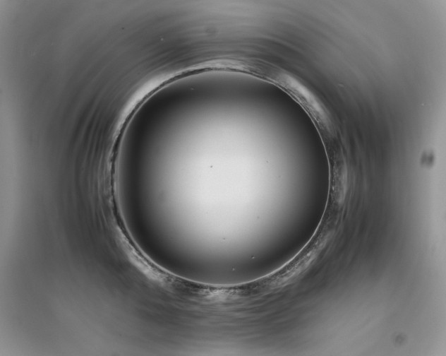 X0000094970808200711291502