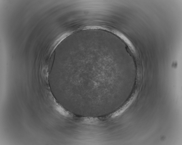 X0000094970809200711291502