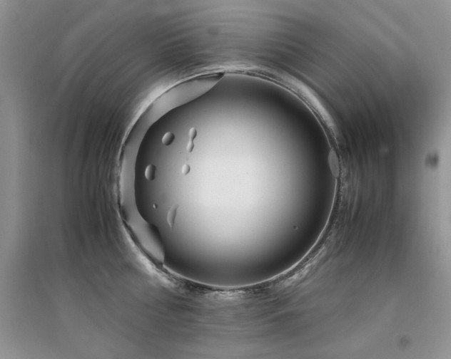 X0000094970810200711291502