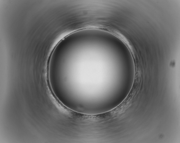 X0000094970811200711291502