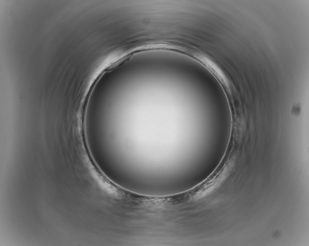 X0000094970813200711291502