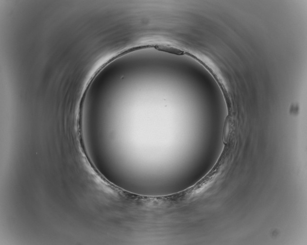 X0000094970815200711291502