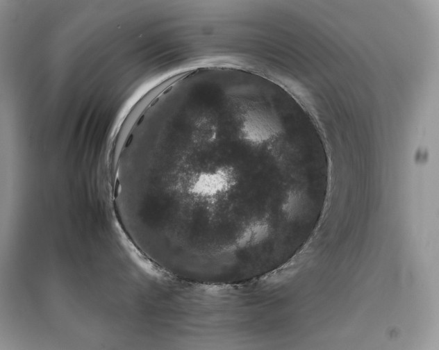X0000094970816200711291502